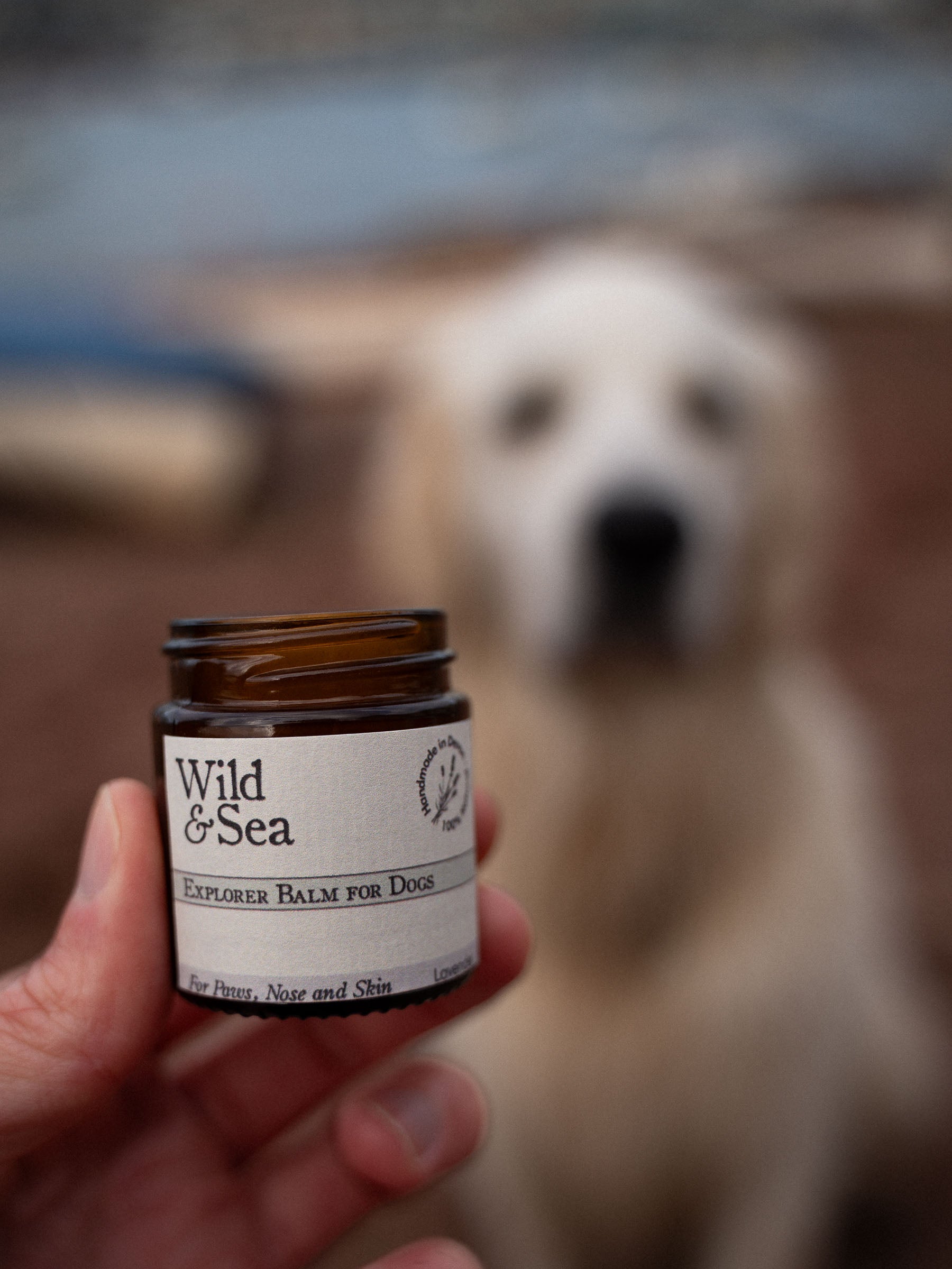 Wild dog hotsell nose balm