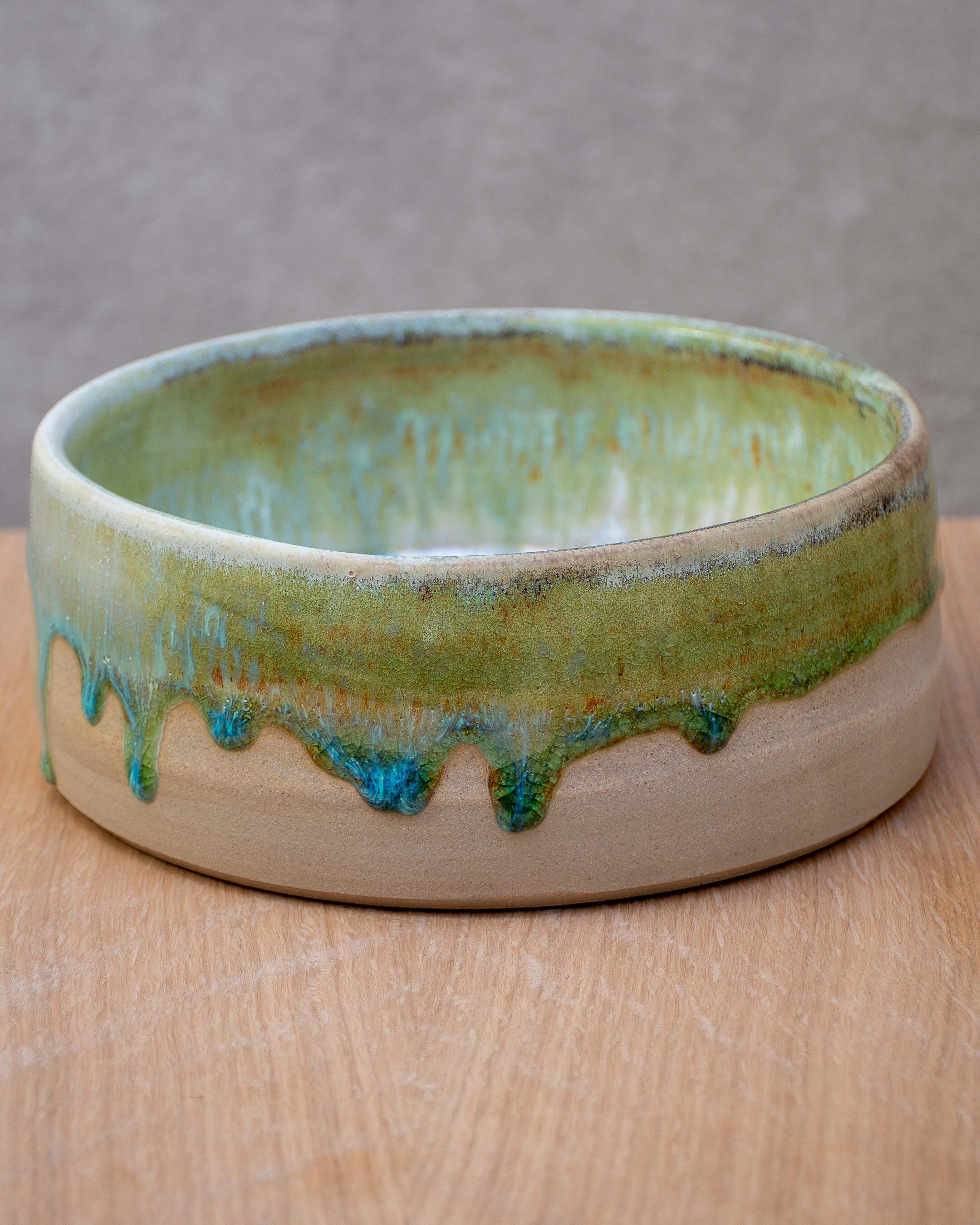 Lichen #2 - Hand Thrown Dog Bowl (18 x 7cm)