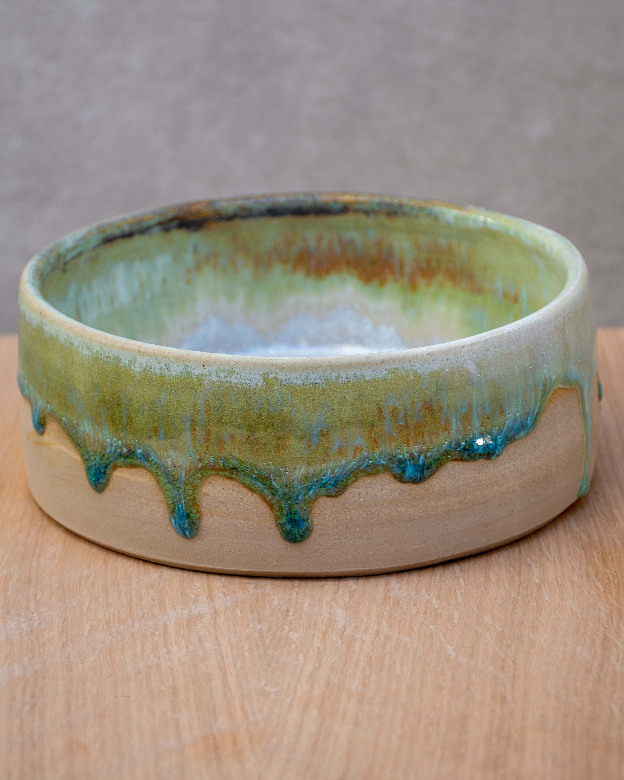 Lichen #2 - Hand Thrown Dog Bowl (18 x 7cm)