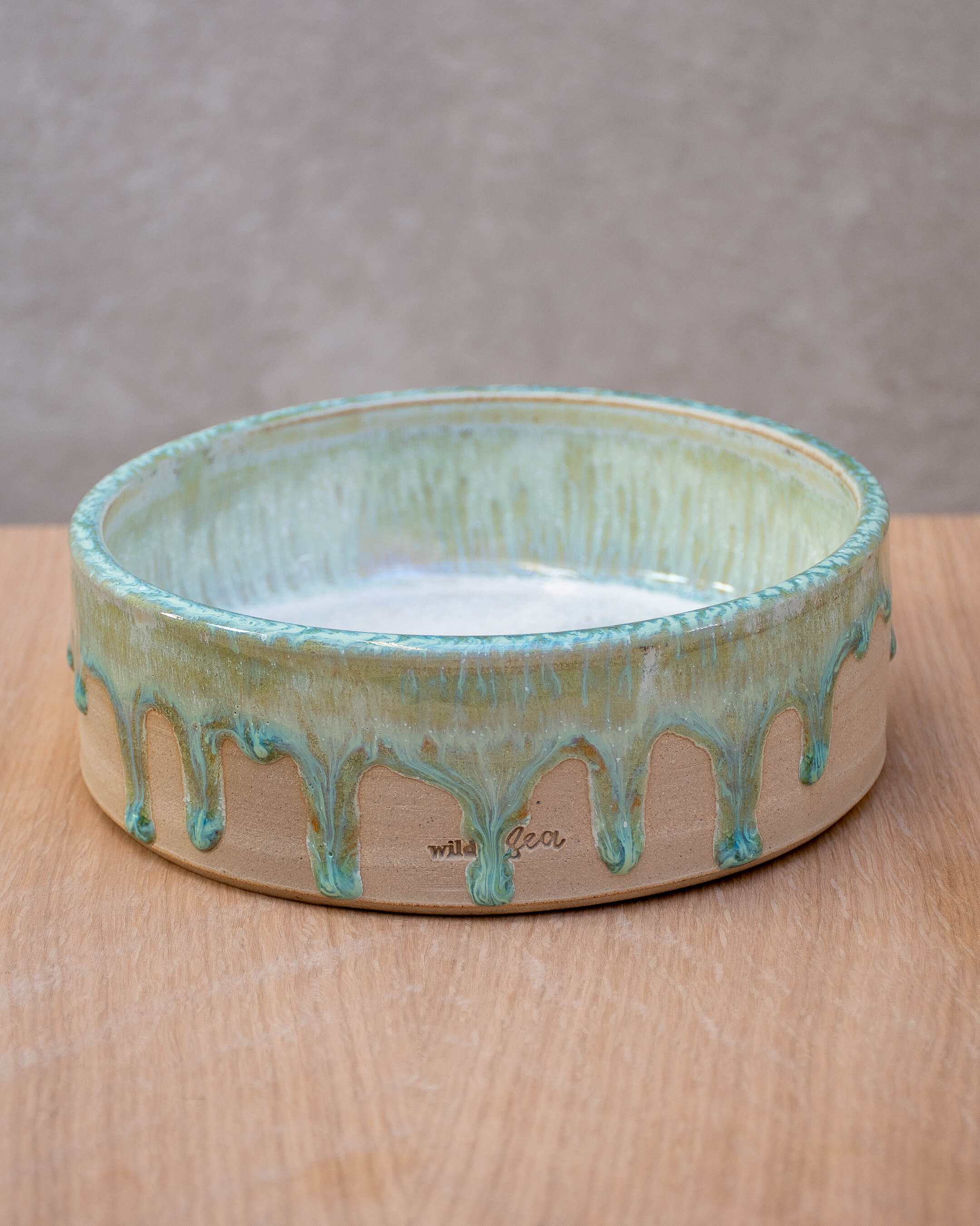 Lichen #3 - Hand Thrown Dog Bowl (16.5 x 5.5cm)