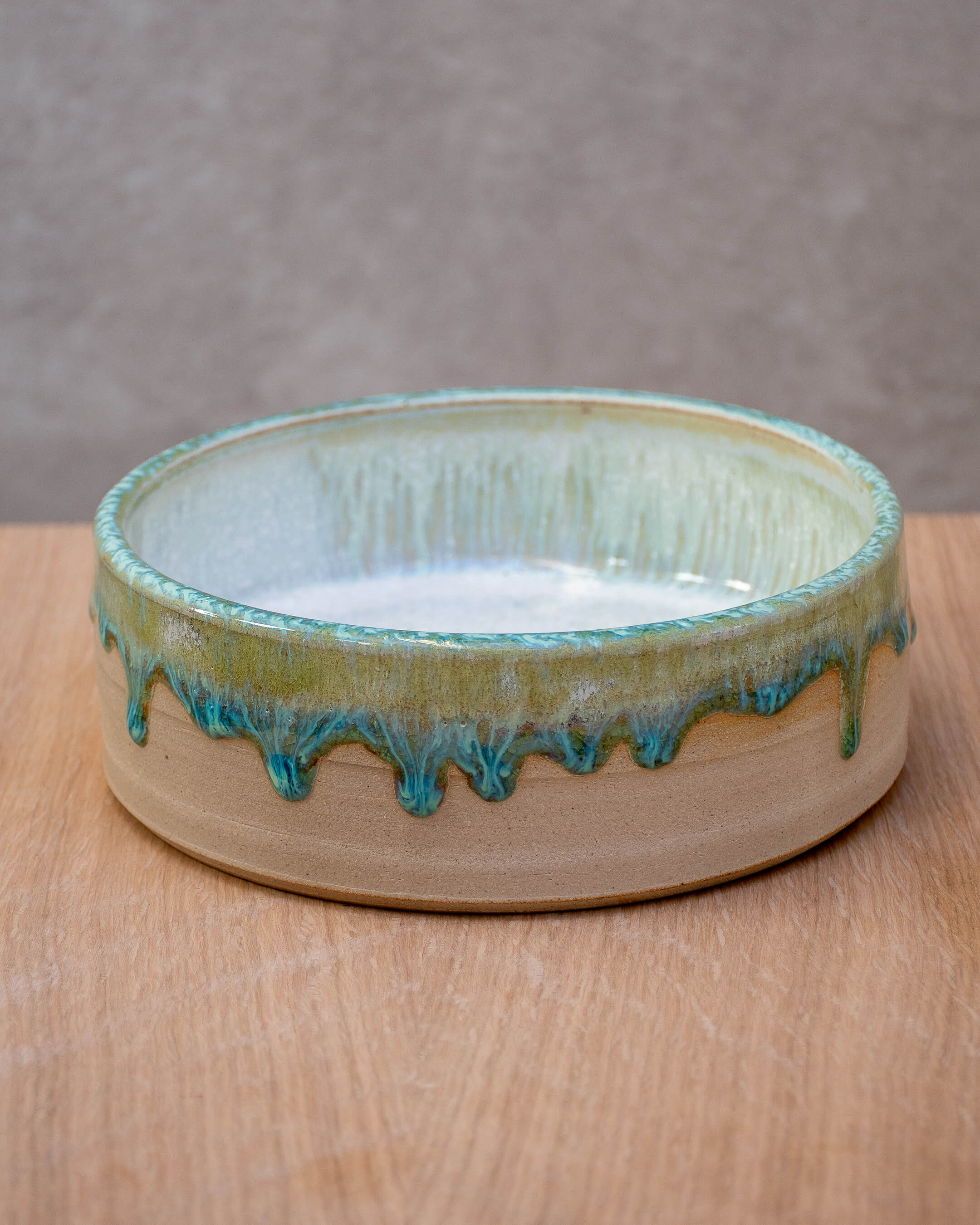 Lichen #3 - Hand Thrown Dog Bowl (16.5 x 5.5cm)