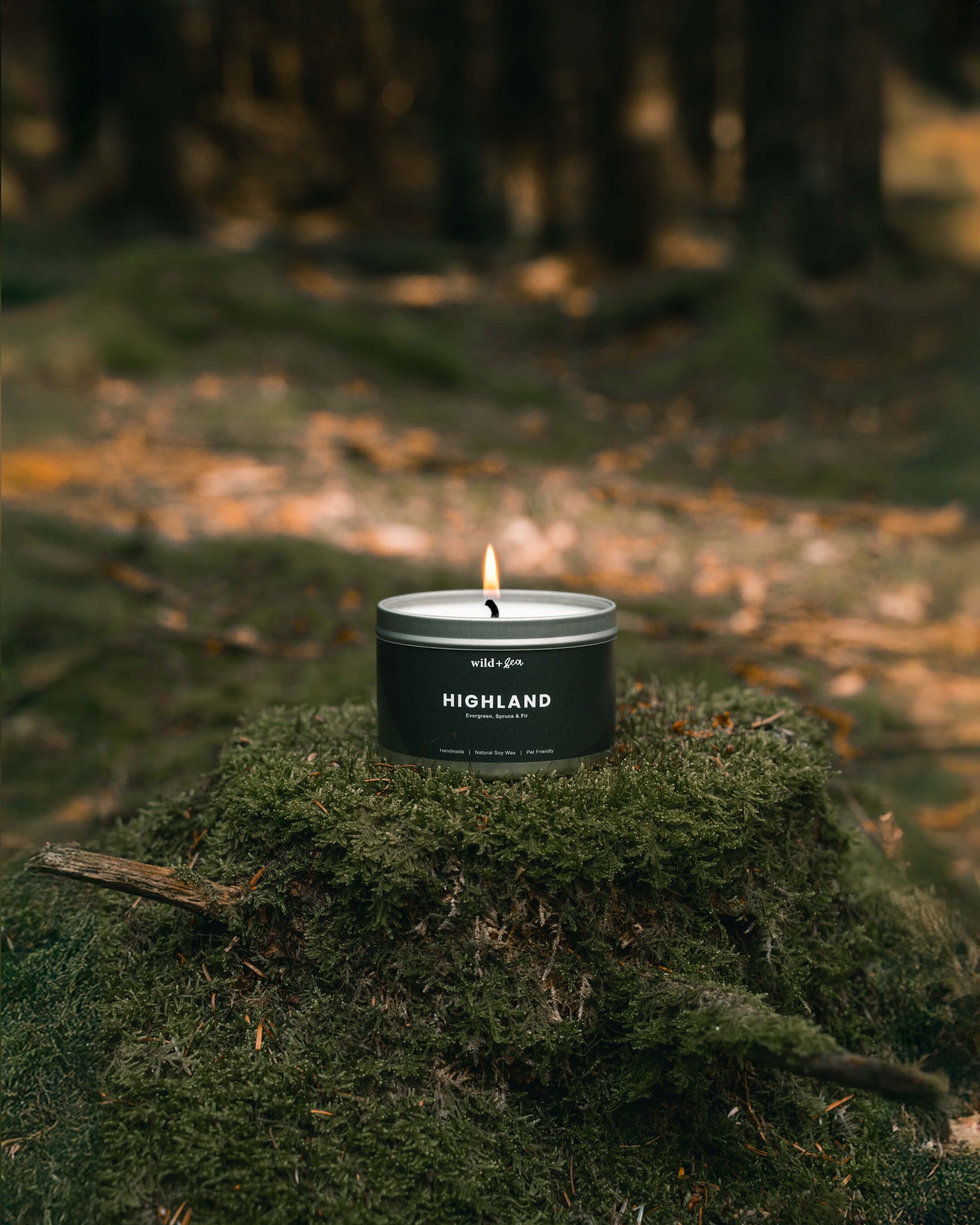 HIGHLAND | Evergreen, Spruce & Fir | Soy Wax Pet Friendly Candle