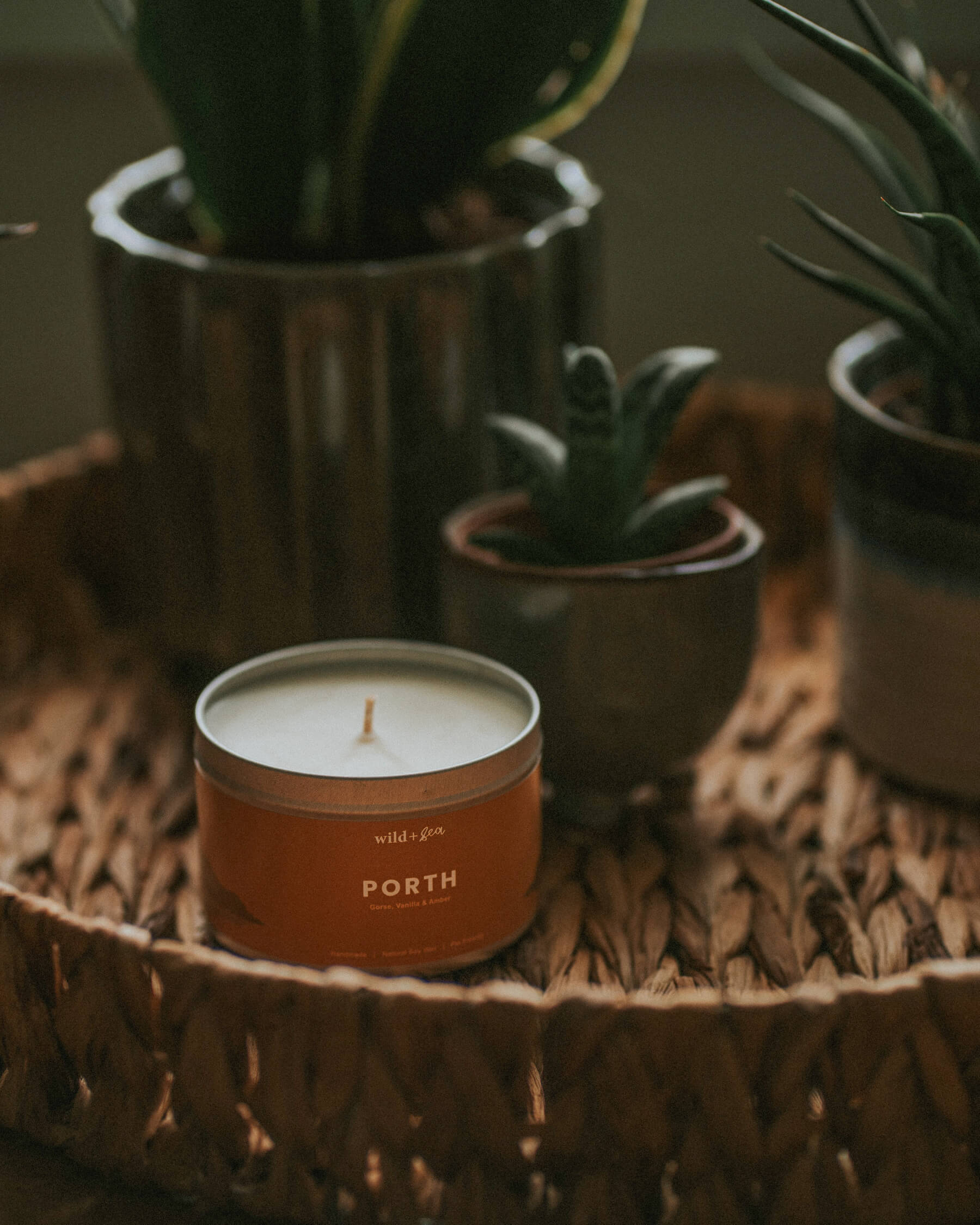 PORTH | Gorse, Vanilla & Amber | Soy Wax Pet Friendly Candle